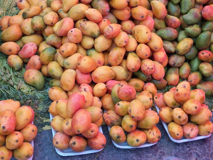 Ulluco перевод