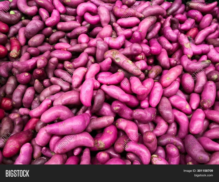 Картофель фиолетовый