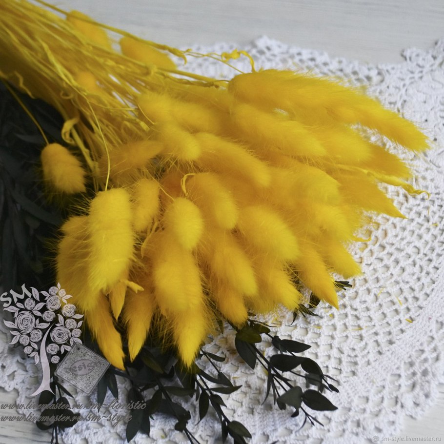 Лагурус и статица