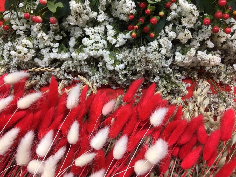 Лагурус Степной Странник