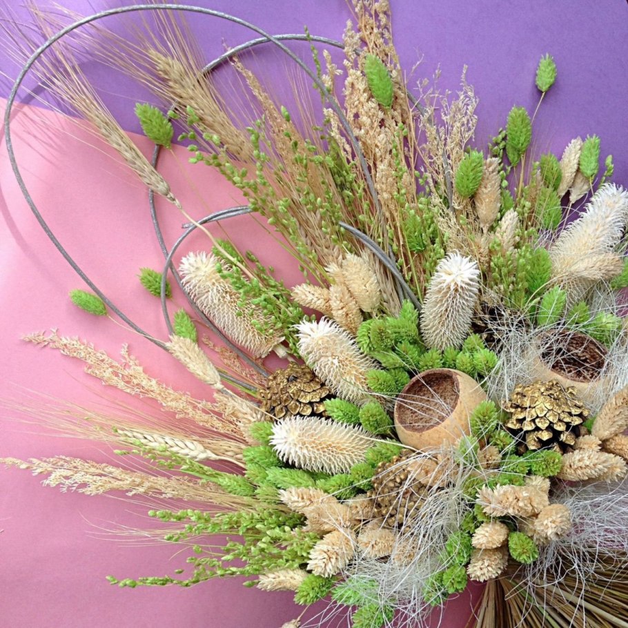 Зайцехвост лагурус