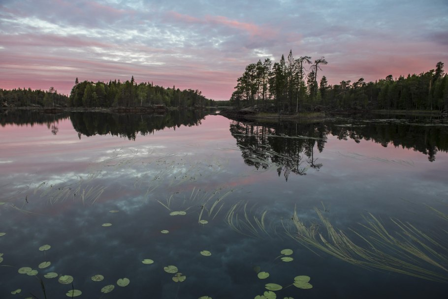 Радиатор трубчатый Zehnder Charleston 2180