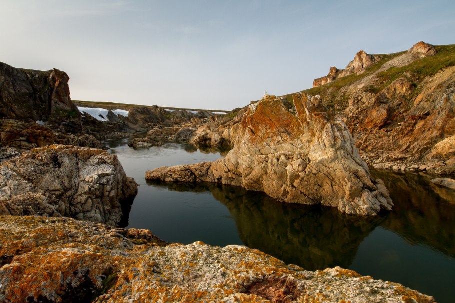 Продольный срез семязачатка