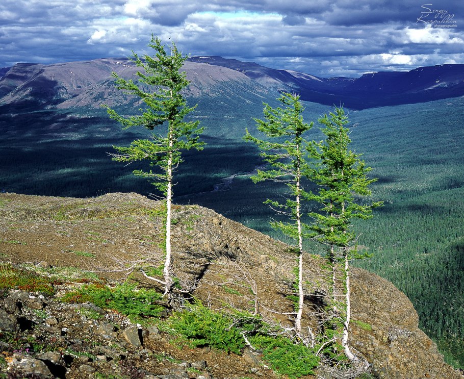 Таймырский биосферный заповедник