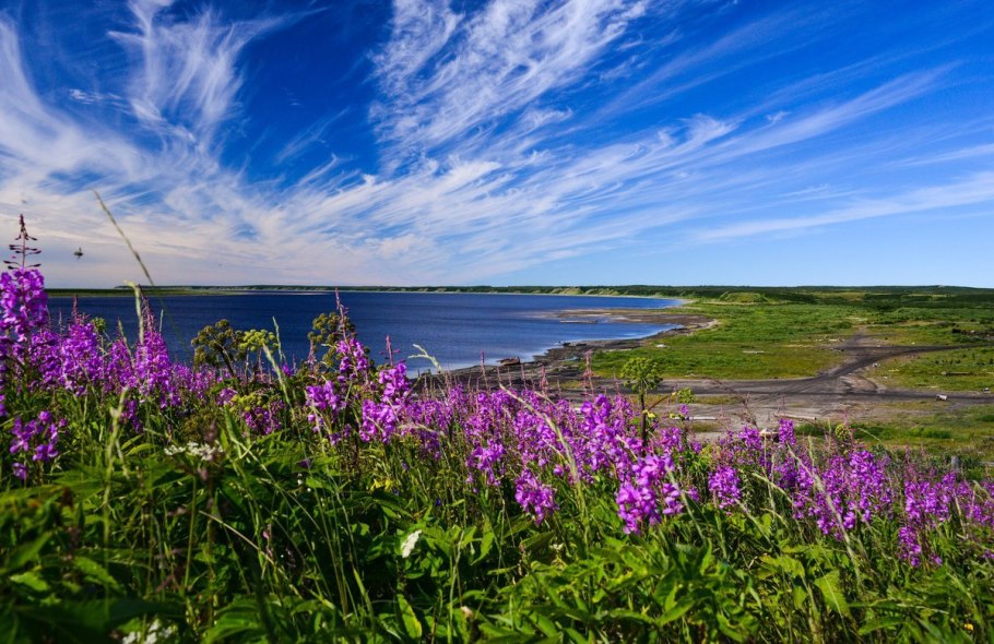 Таймыр плато Путорана