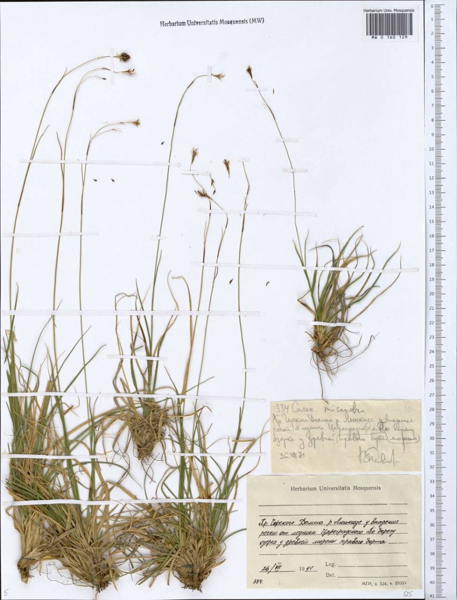 Фишт-Оштеновский заповедник