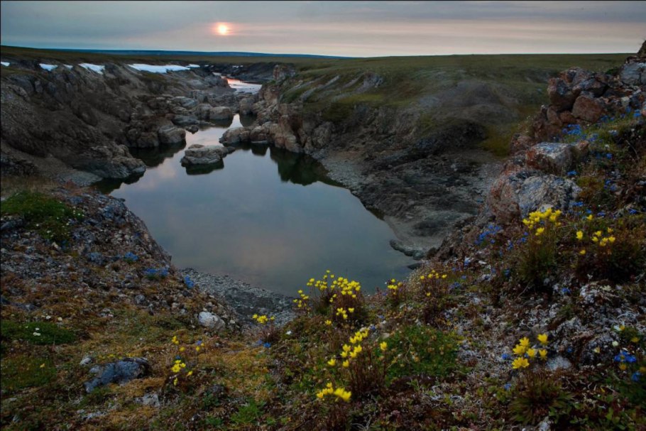 Таймырский большой Арктический заповедник