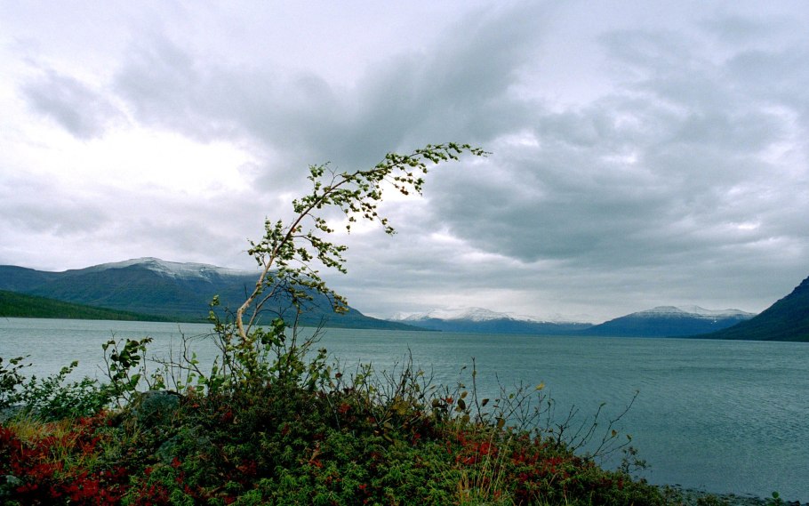 Таймырский биосферный заповедник