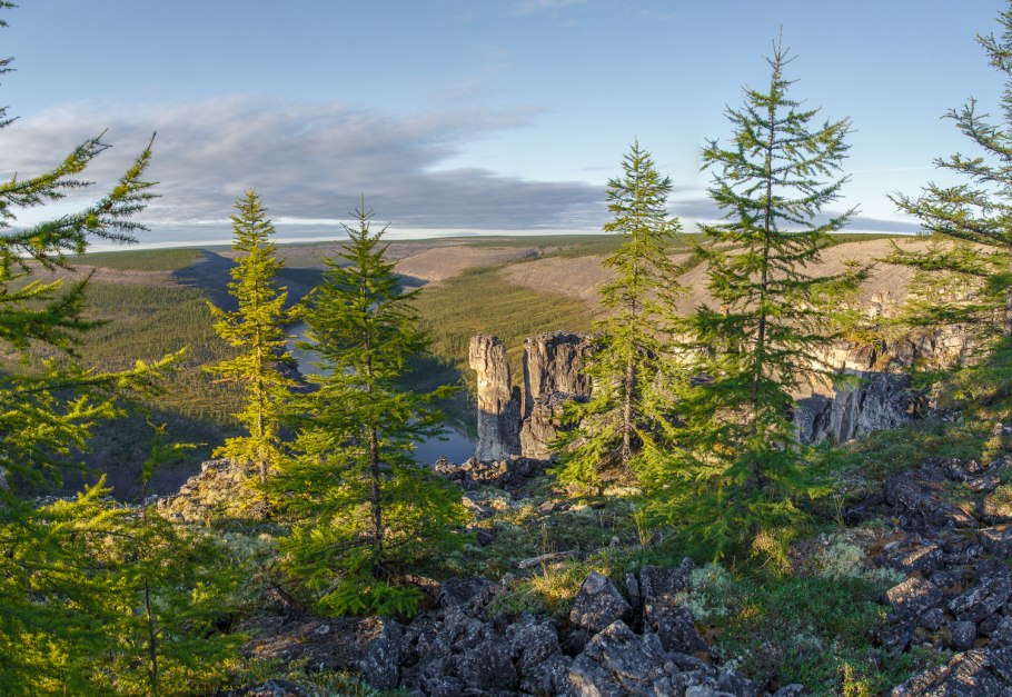 Арктический заповедник Красноярский край