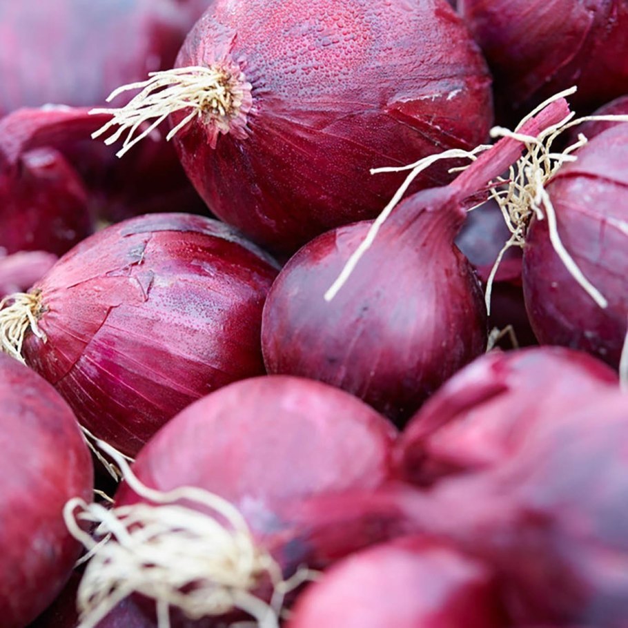 Крымский лук севок