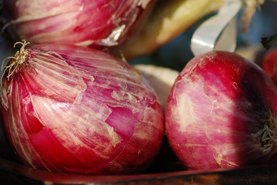 Лук севок ред Семко