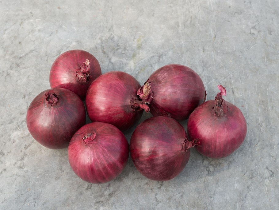 Красная луковица