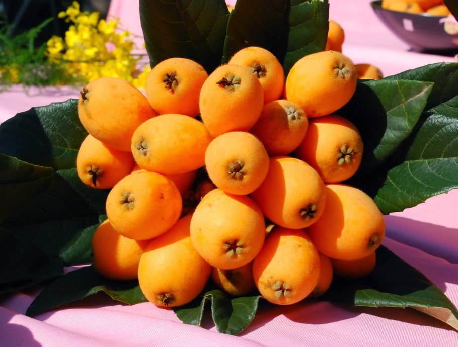 Мушмула фрукт