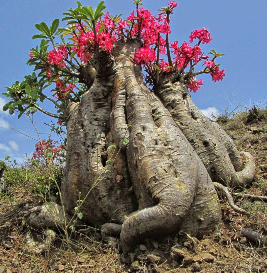 Пейзажи Северной Австралии