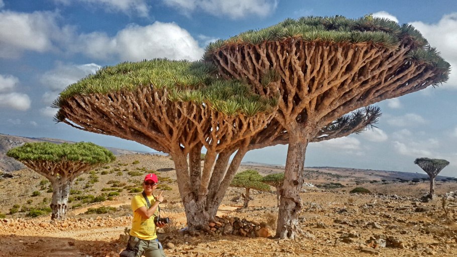 Архипелаг Сокотра Йемен