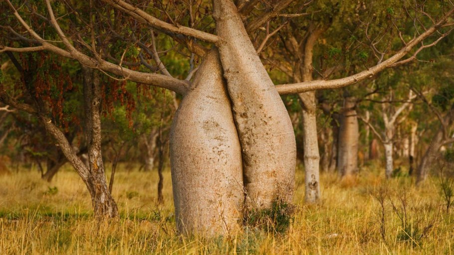Гора Улуру в Австралии