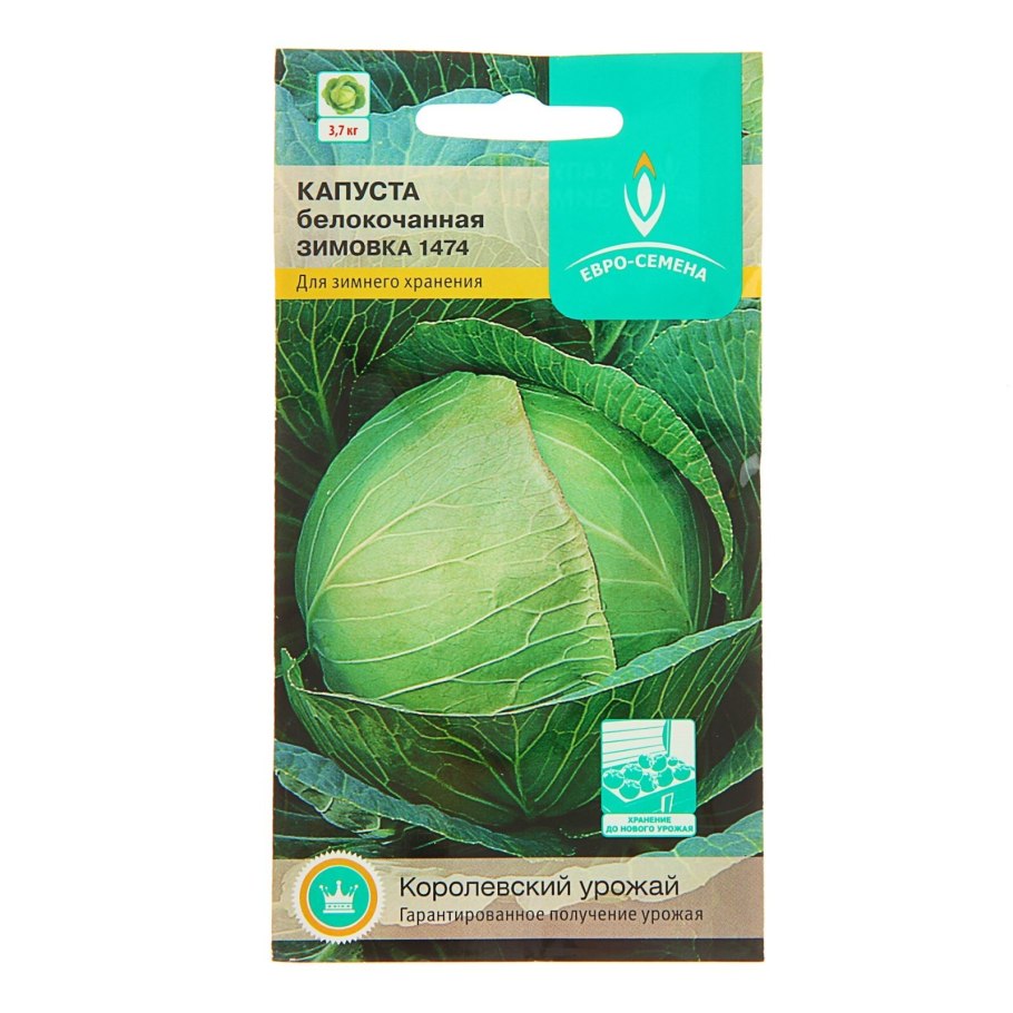 Семена капуста белокочанная зимовка 1474