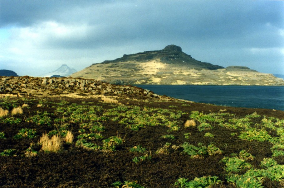 Остров Кергелен