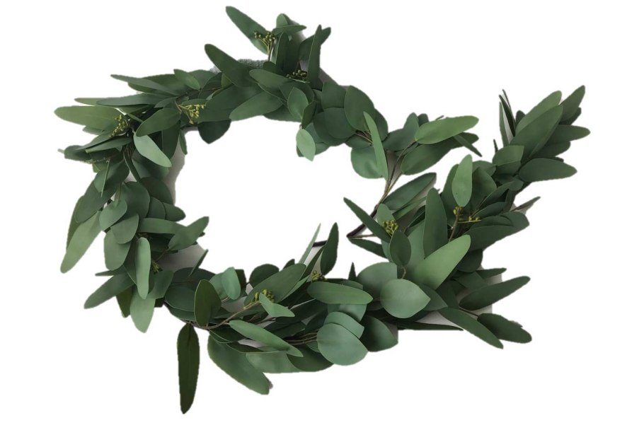 Эвкалипт прутовидный