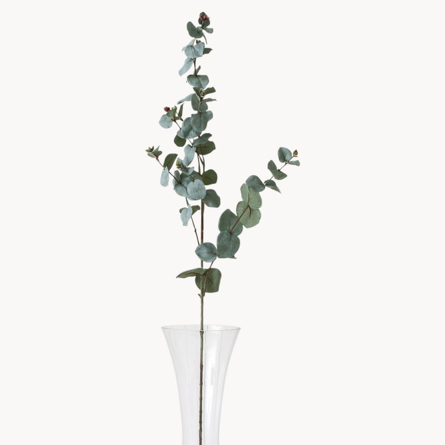 Эвкалипт Отпечатки оранж