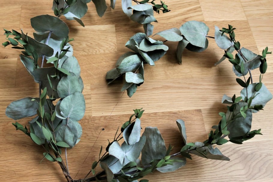 Листья эвкалипт