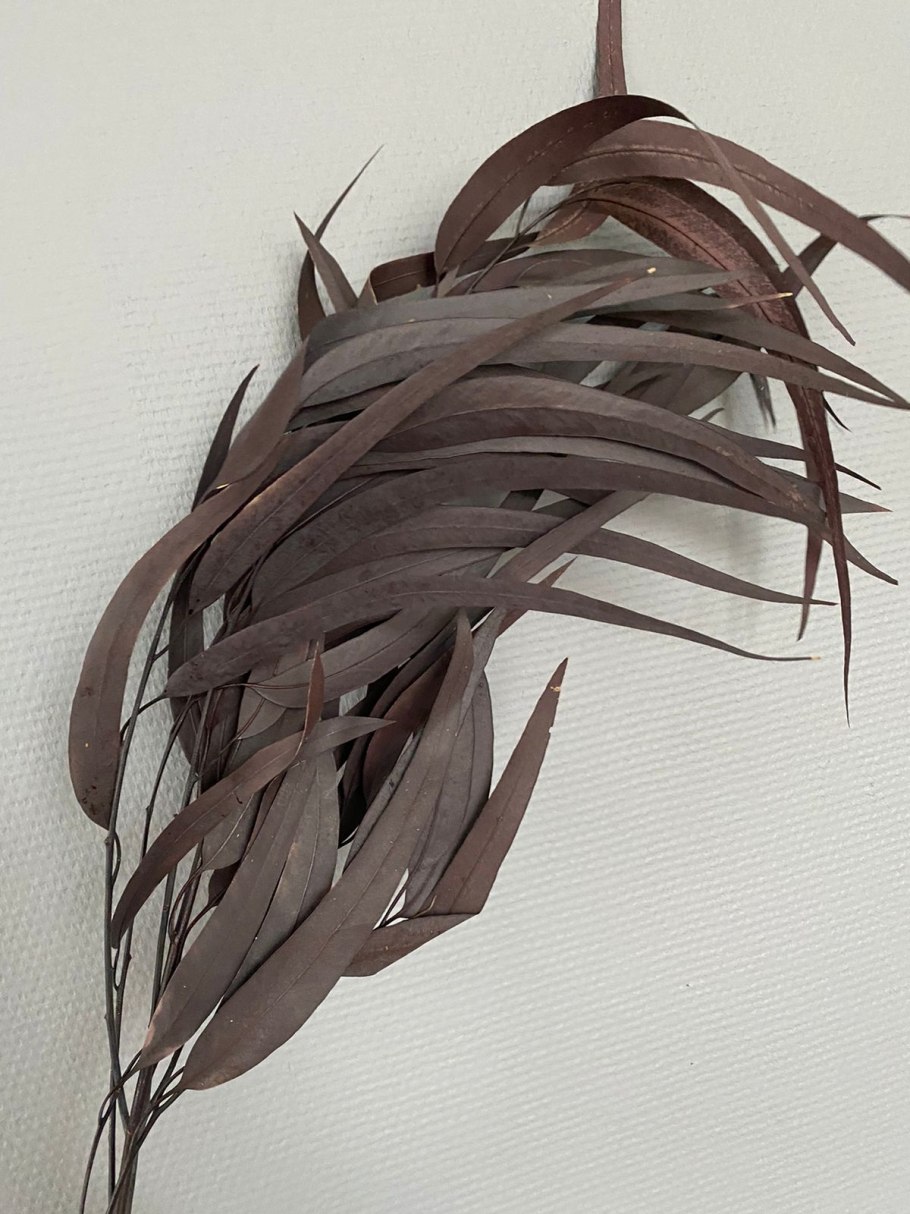 Eucalyptus/эвкалипт curious Metallic бумага