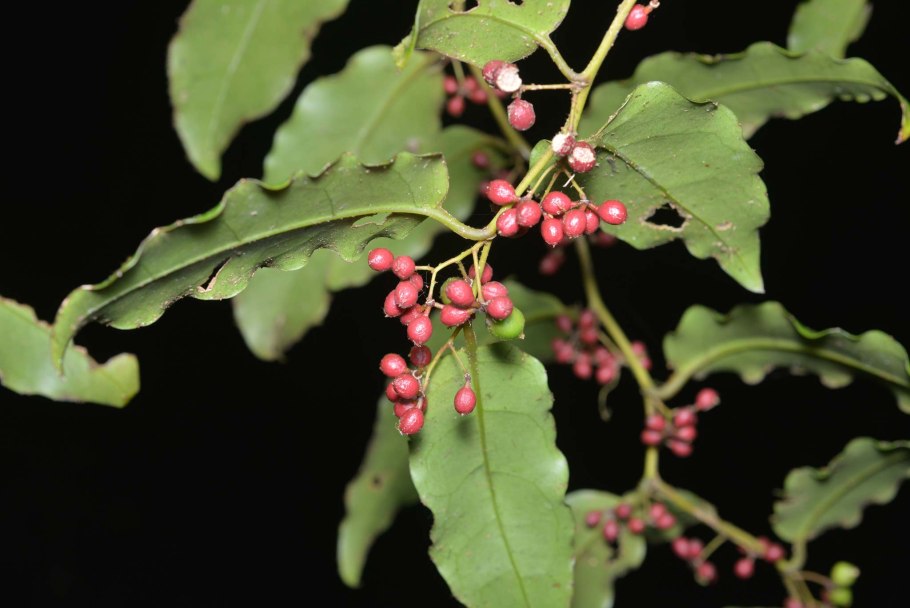 Артикул Feather Marshmallow