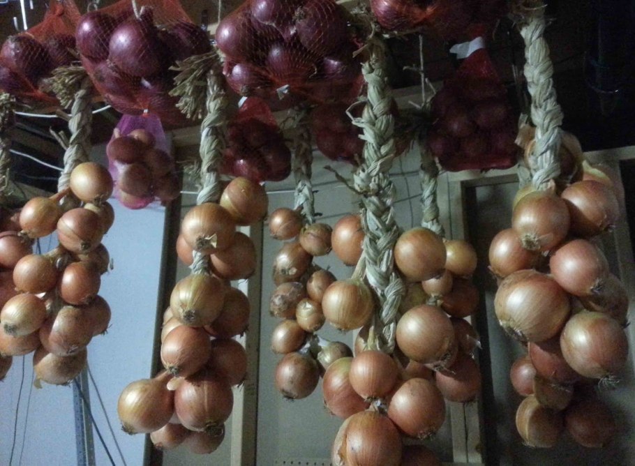 Хранение лука