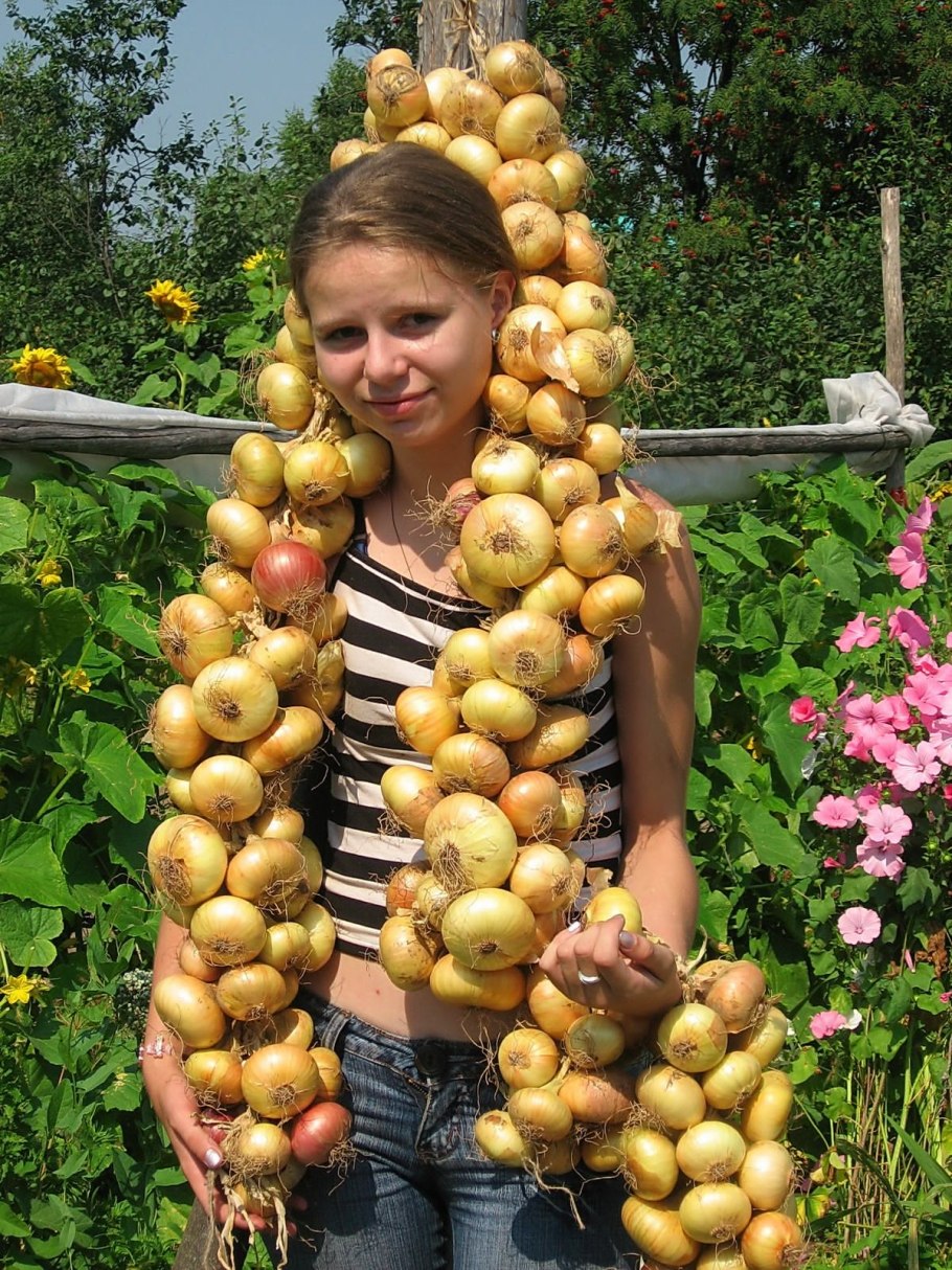 Косы из лука