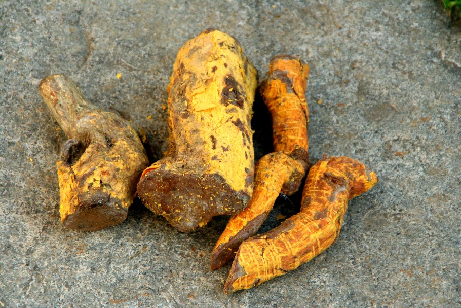 Керамогранит Гармония sg924500n 300x300 желтый