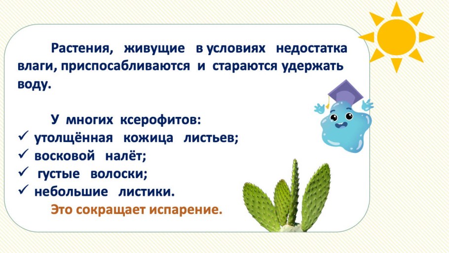 Вода в жизни растений