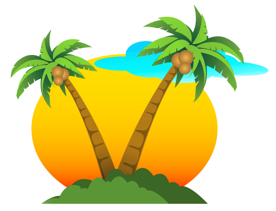 Пальмы двойного кокоса