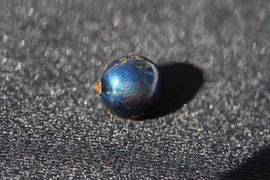 Pollia condensata в разрезе