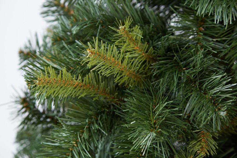 Ель Восточная Barnes