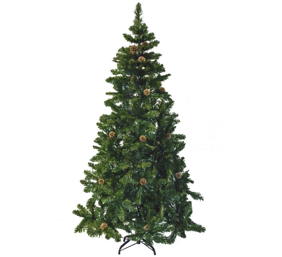 Ель корейская (Picea koraiensis)