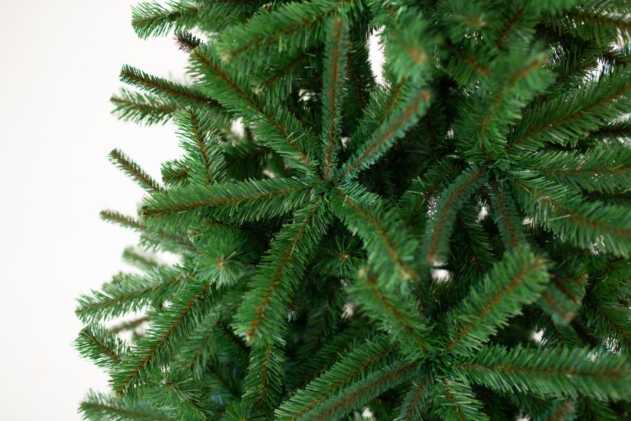 Пихта Абиес Кореана