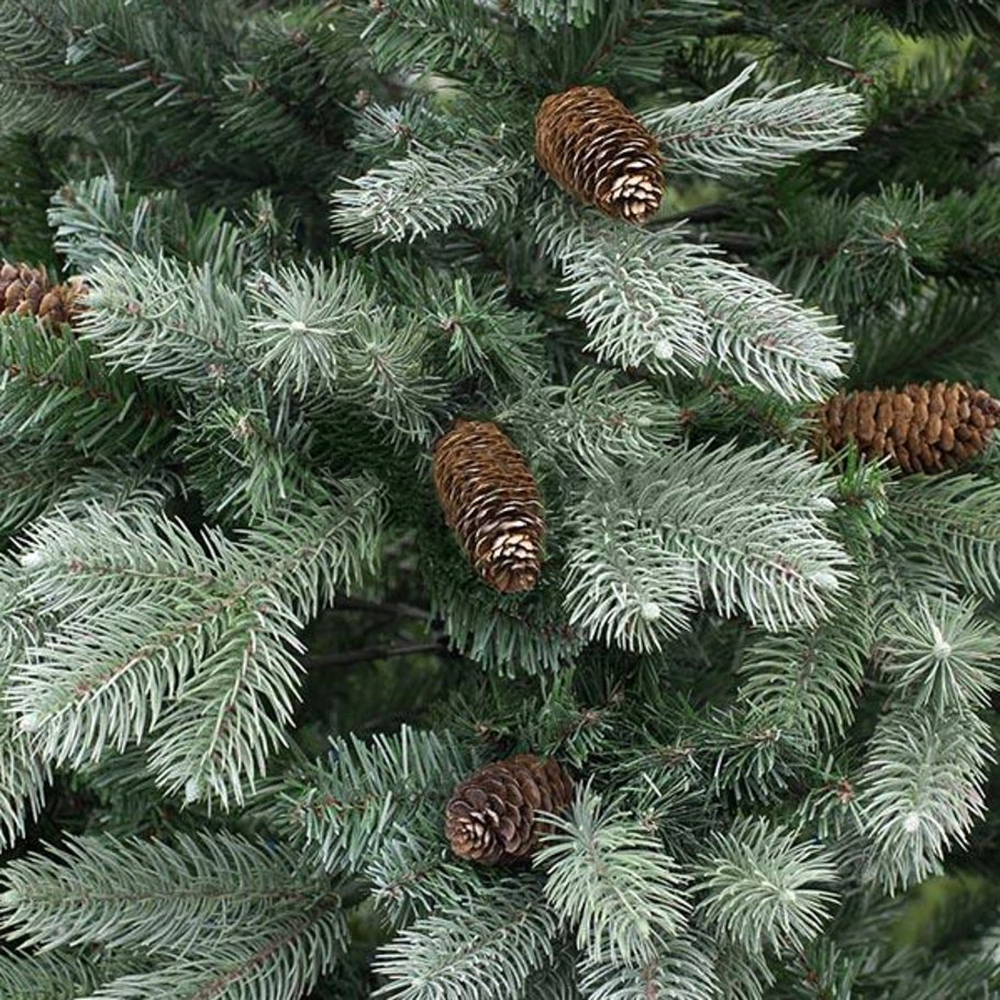 Tarrington House ель Нора 1.8