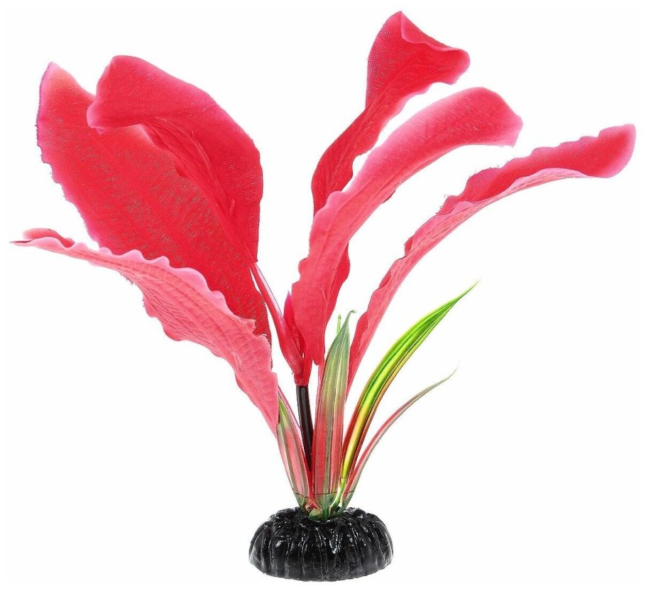 Растение для аквариума шелковое апоногетон