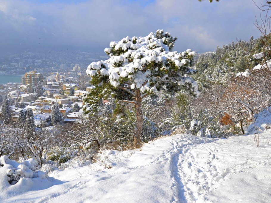 Ялта в снегу