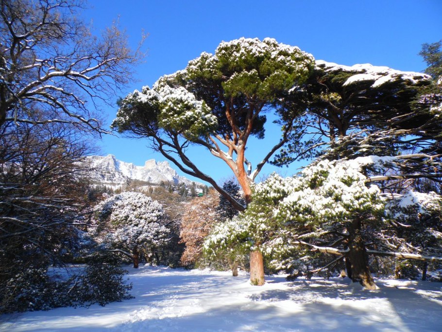 Парк Крым зима