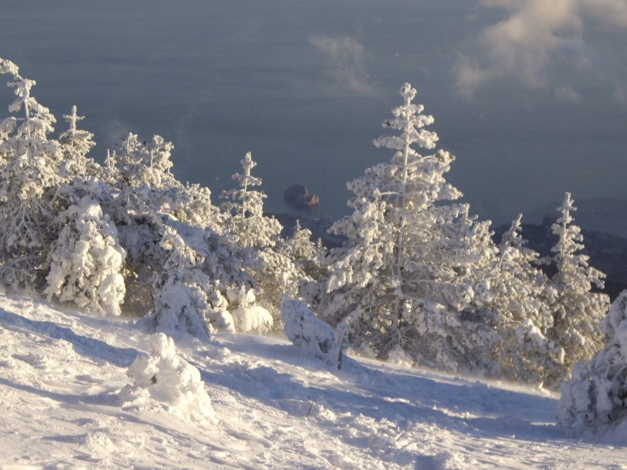 Зима в Крымском лесу