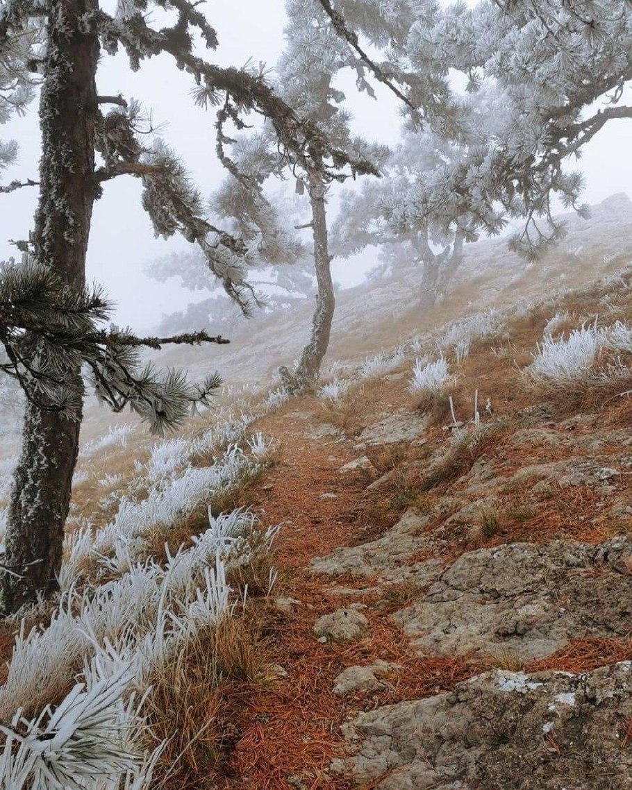 Ай Петри зима