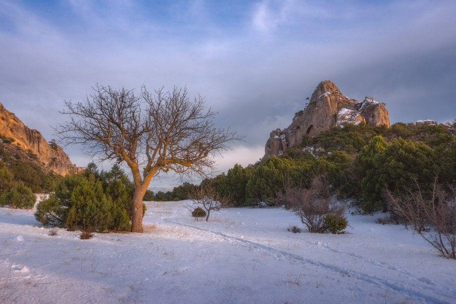 Зима в Крыму