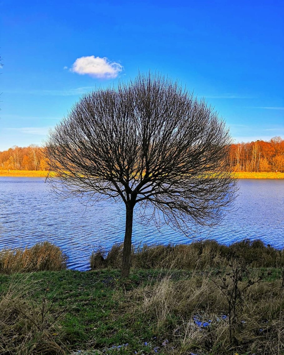 Осени пейзаж