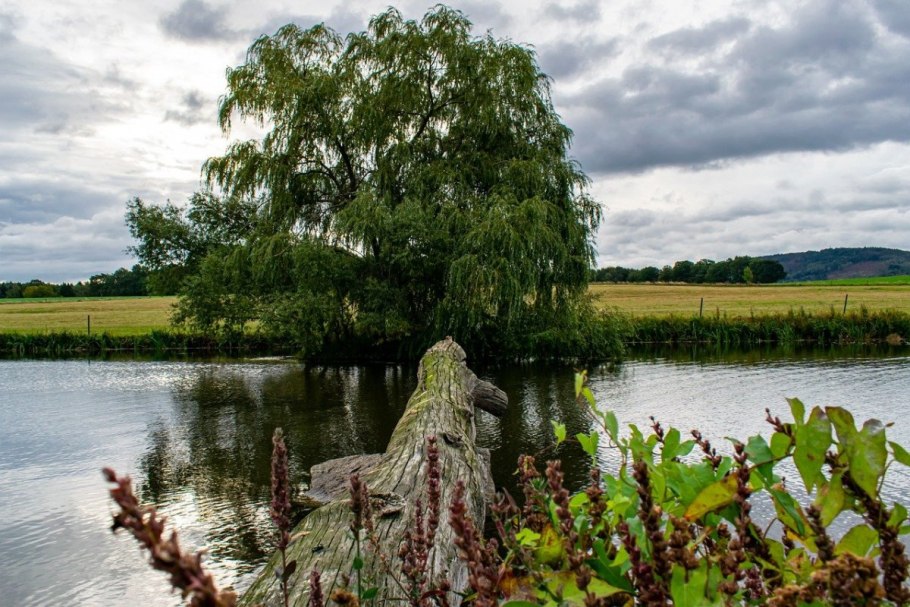 Сабина Утяшева