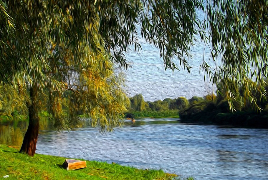 Плакучая Ива на реке Кубань