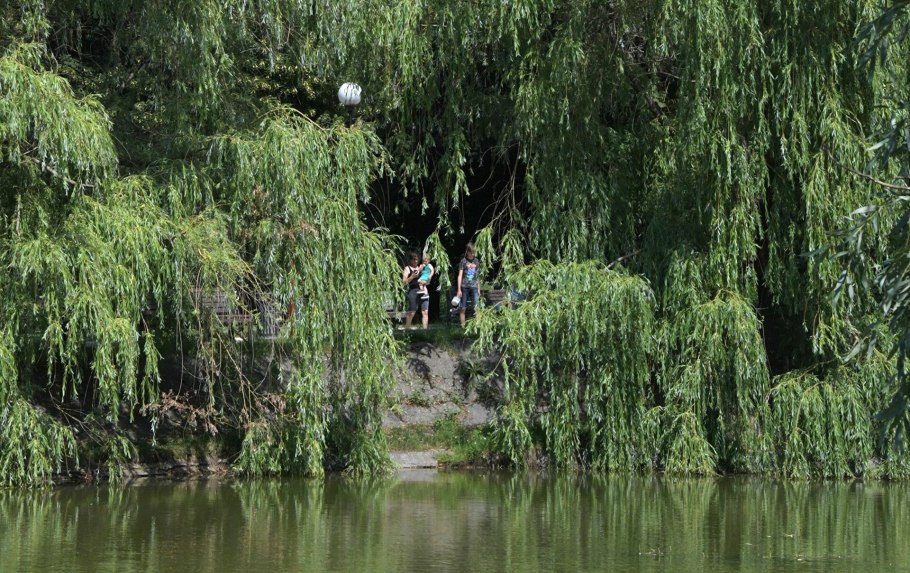 Фото блоггеров девушек Энни Мэй