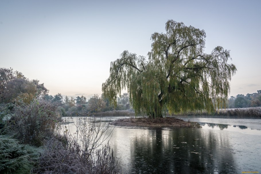 Сабвуфер FBT LS 61a