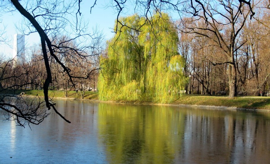 Медведева Инна Калуга