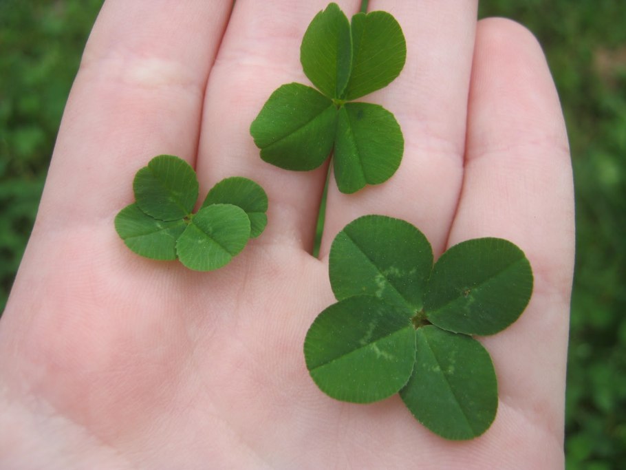 Марсилия Египетская